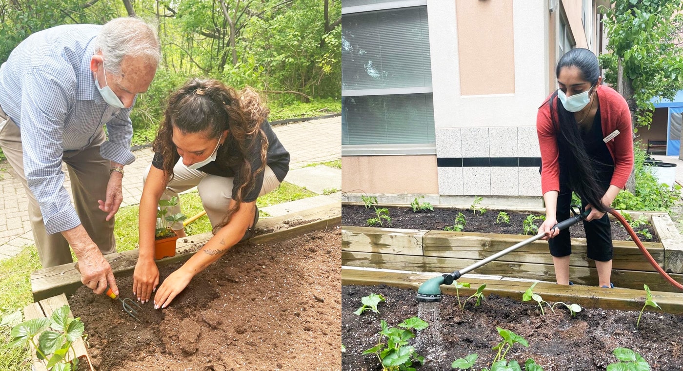 Volunteer workers planing vegetable gardens