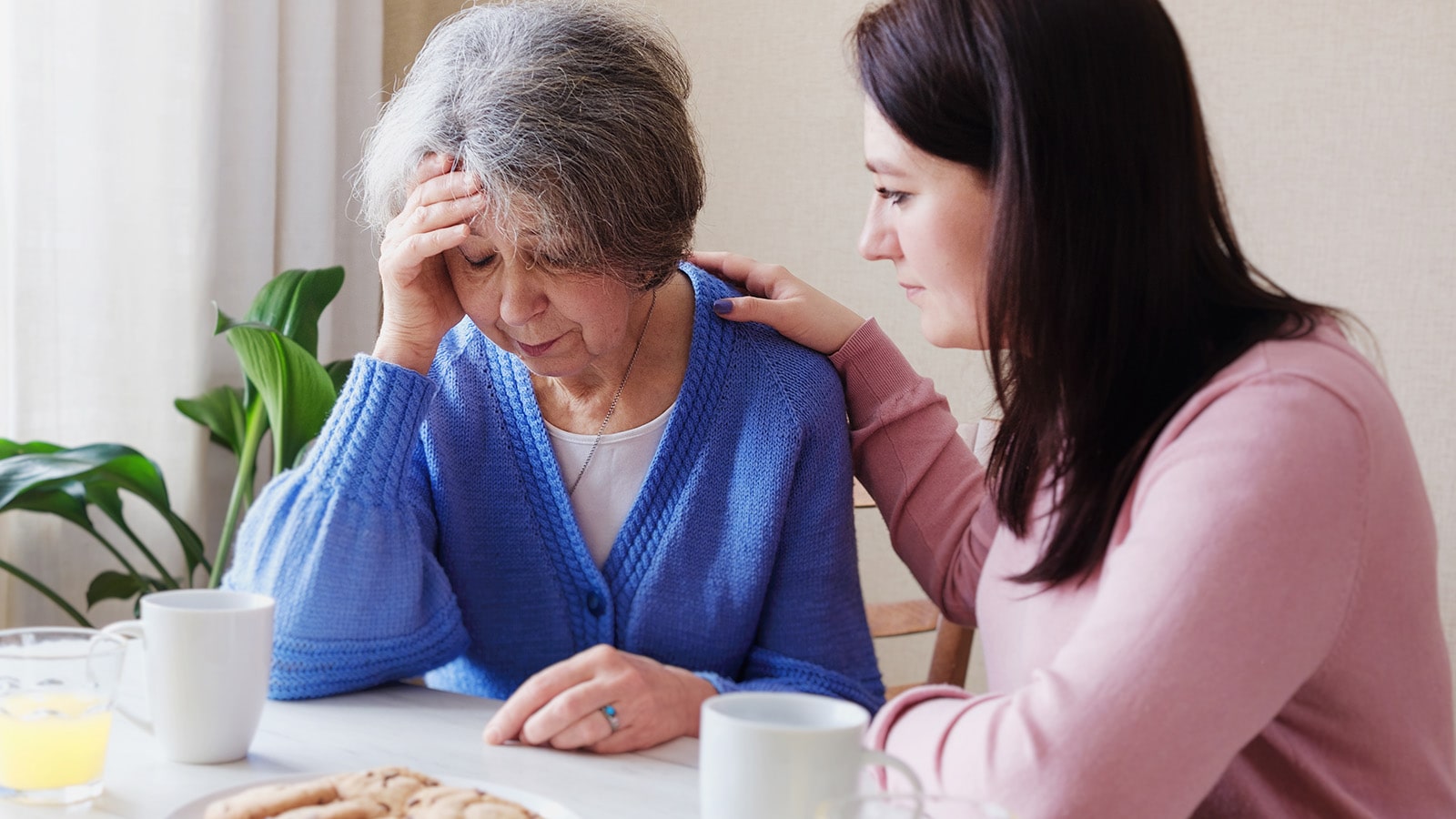 Young woman wearing pink consoling elderly woman wearing a blue sweater